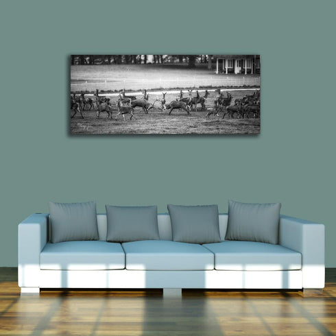 PANORAMIC - MONO BATTLE FOR THE LADIES - 1.2m x 50cm